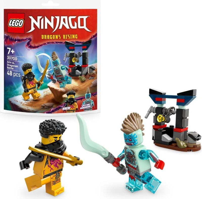 Klocky NINJAGO bitva Arina s drakem
