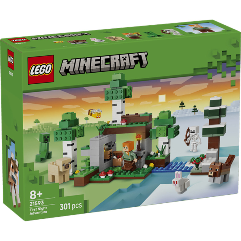 LEGO LEGO® Minecraft® 21593 První noční dobrodružství