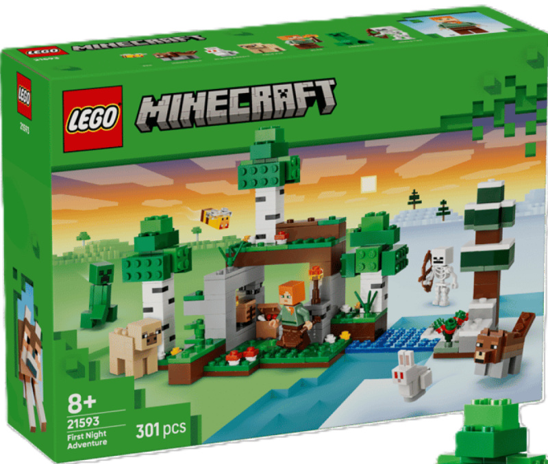 LEGO LEGO® Minecraft® 21593 První noční dobrodružství
