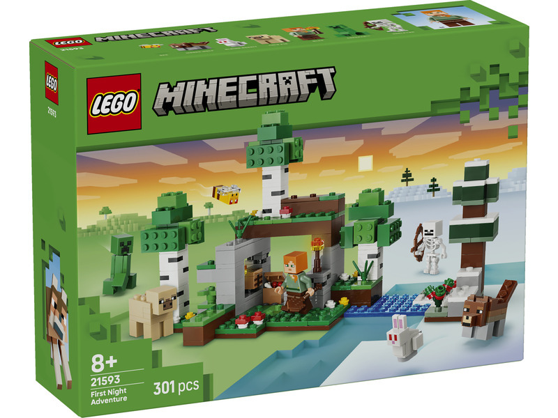LEGO LEGO® Minecraft® 21593 První noční dobrodružství