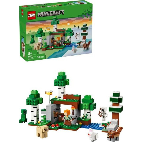 LEGO LEGO® Minecraft® 21593 První noční dobrodružství