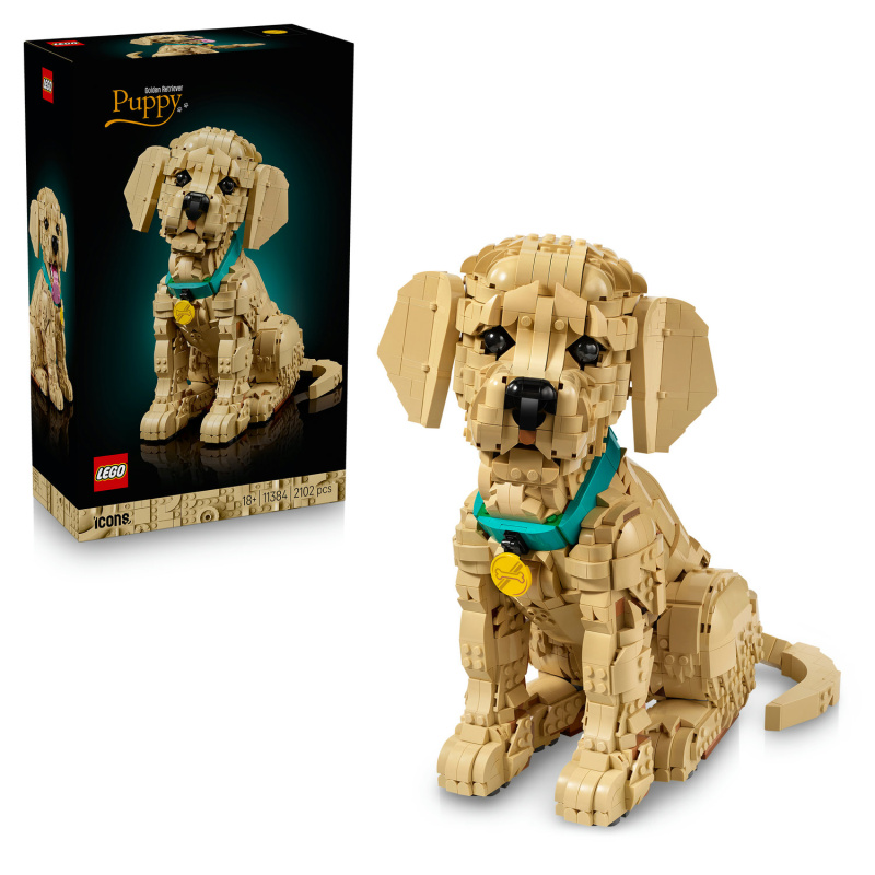 LEGO® Icons 11384 Štěně zlatého retrívra