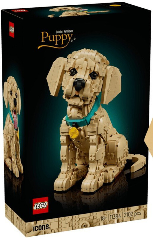 LEGO® Icons 11384 Štěně zlatého retrívra