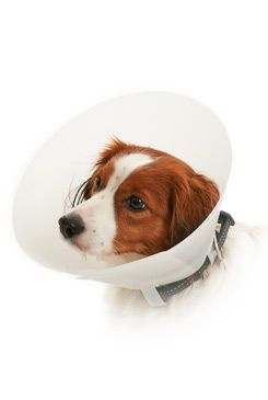 KRUUSE Límec ochranný BUSTER opaktní Classic Collar 30cm
