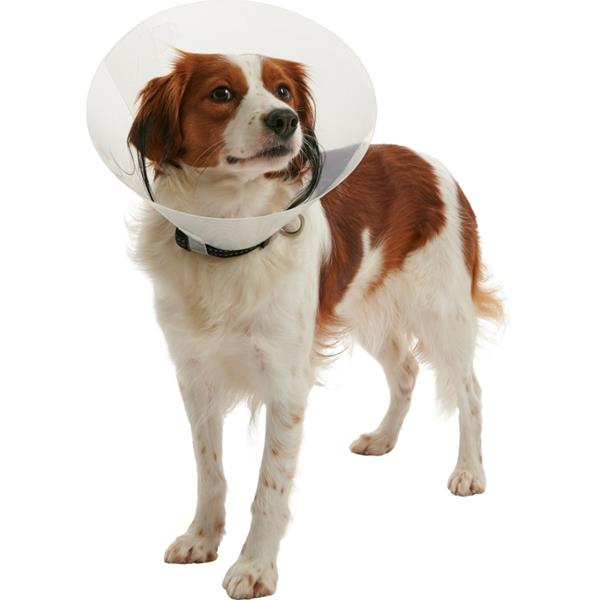 KRUUSE Límec ochranný BUSTER plastový Clic Collar 15cm