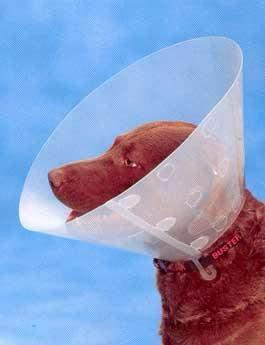 Límec ochranný BUSTER plastový Clic Collar 12,5 cm