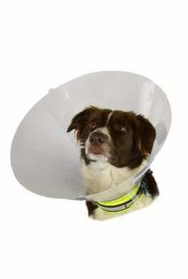 Límec ochranný BUSTER plastový Classic Collar 25 cm