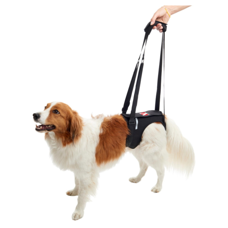 Postroj zvedací Rehab na zadní nohy KRUUSE XS