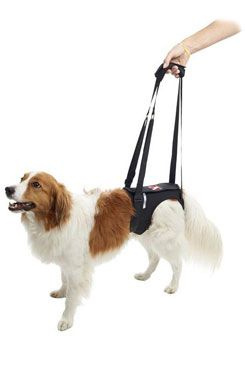 Postroj zvedací Rehab na zadní nohy KRUUSE XL