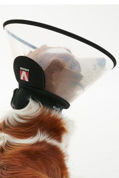 KRUUSE Límec ochranný BUSTER plastový Complete Collar 25 cm