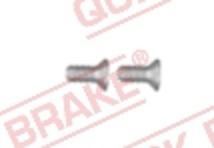 QUICK BRAKE Šroub M6x1, délka 14 mm, na brzdové kotouče