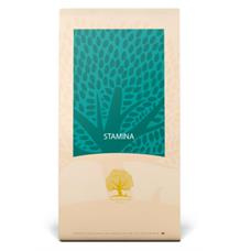 Essential  Stamina 10 kg
