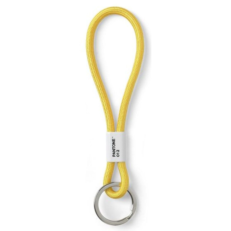 PANTONE Poutko na klíče S - Yellow 012