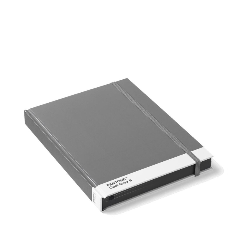 PANTONE Zápisník, vel. L - Cool Gray 9