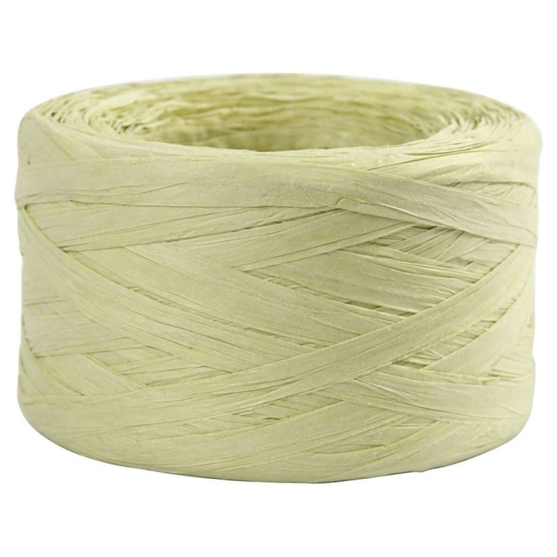 Papírová příze Raffia 100m světle zelená