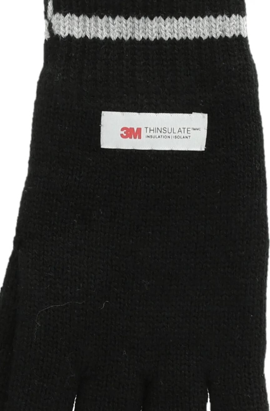 Pánské rukavice Whistler Hancok M Thinsulate  Velikost: L/XL