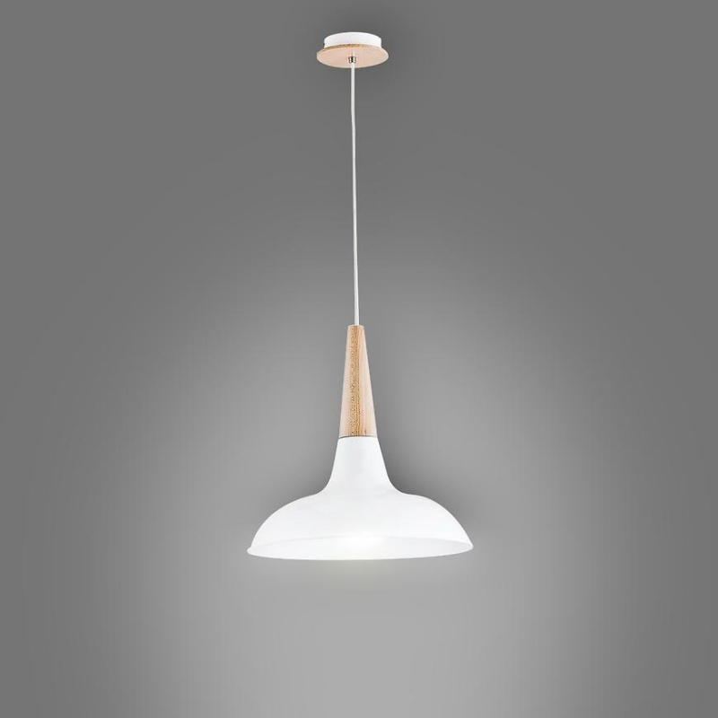 Závěsné svítidlo Doro 60005 LW1