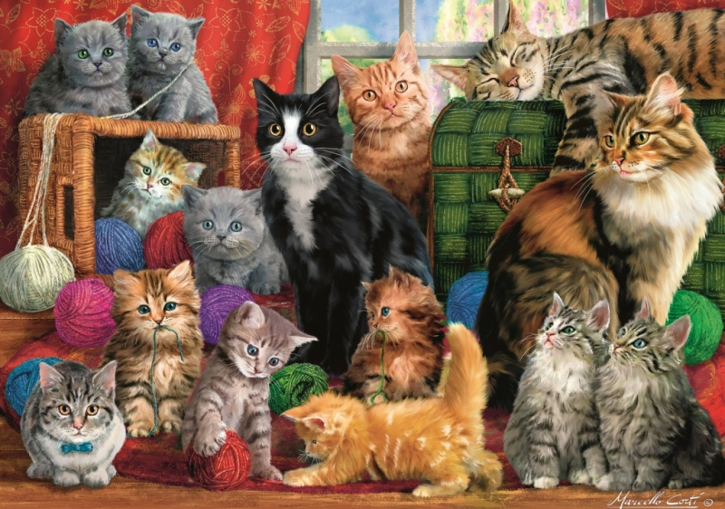 Puzzle 1000 dílků - Setkání koček