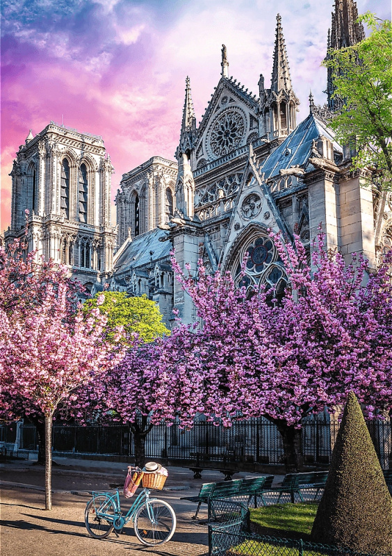 Trefl Premium Plus Photo Odyssey Katedrála Notre-Dame Paříž 1000 dílků