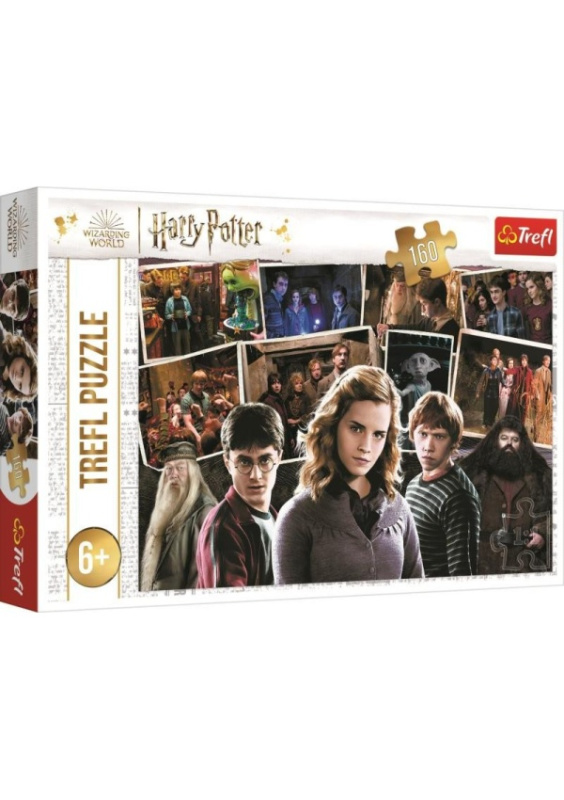 TREFL Harry Potter s přáteli 160 dílků