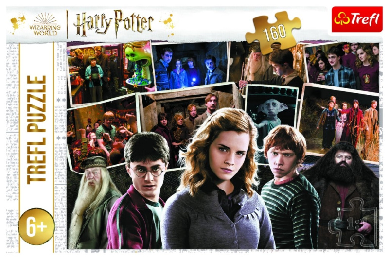 TREFL Harry Potter s přáteli 160 dílků