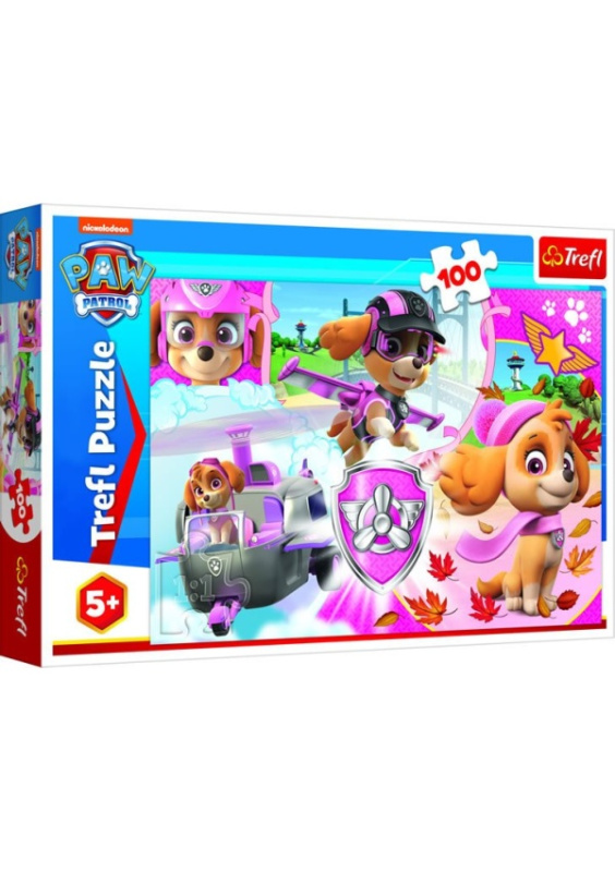 Puzzle Paw Patrol/Tlapková patrola Skye v akci 41x27,5cm 100 dílků v krabici 29x19x4cm