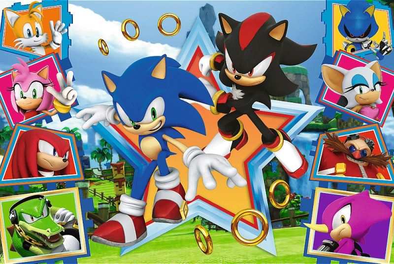 Puzzle Seznamte se se Sonicem/Sonic the Hedgehog 100 dílků 41x27,5cm v krabici 29x19x4cm