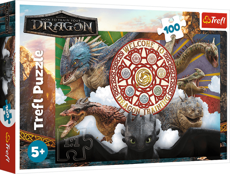 Puzzle 100 dílků Draci v akci