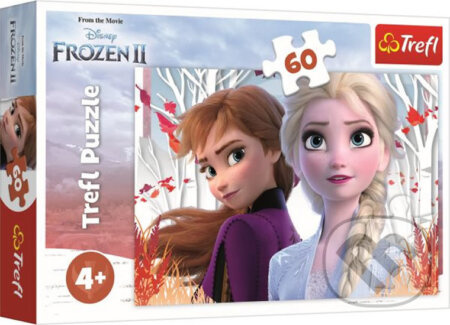 Puzzle Ledové království II/Frozen II 60 dílků 33x22cm v krabici 21x14x4cm