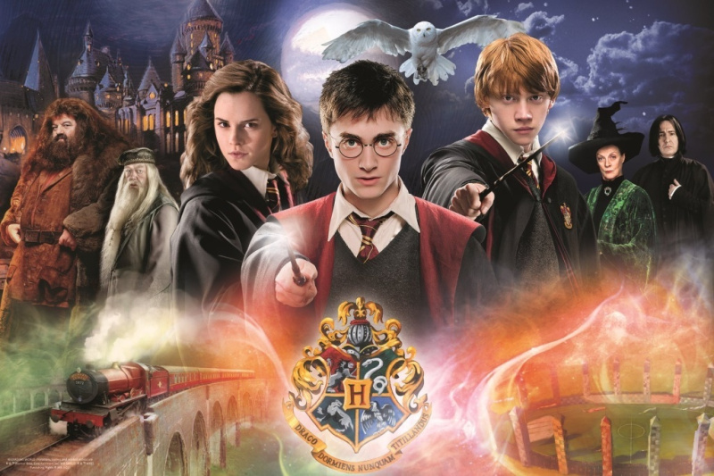 TREFL Tajemný Harry Potter 300 dílků