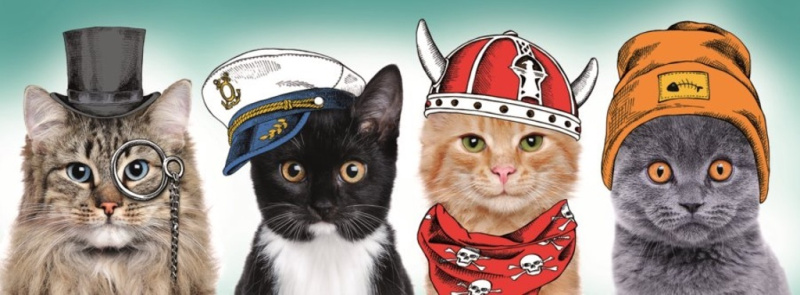 Trefl Kočičí posádka 29504 500 dílků