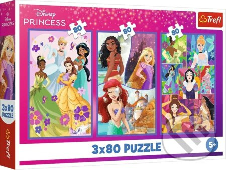 Trefl Přátelé princezny Disney Princess 3 x 80 dílků