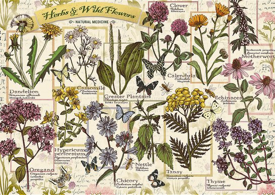 TREFL Herbarium Léčivé byliny 500 dílků