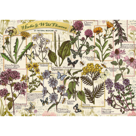 TREFL Herbarium Léčivé byliny 500 dílků