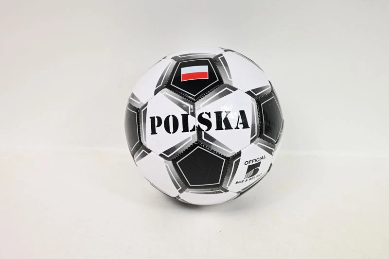 Fotbalový míč