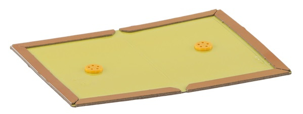 CH6377 / Lepová past na odchyt hmyzu a škodlivých organismů