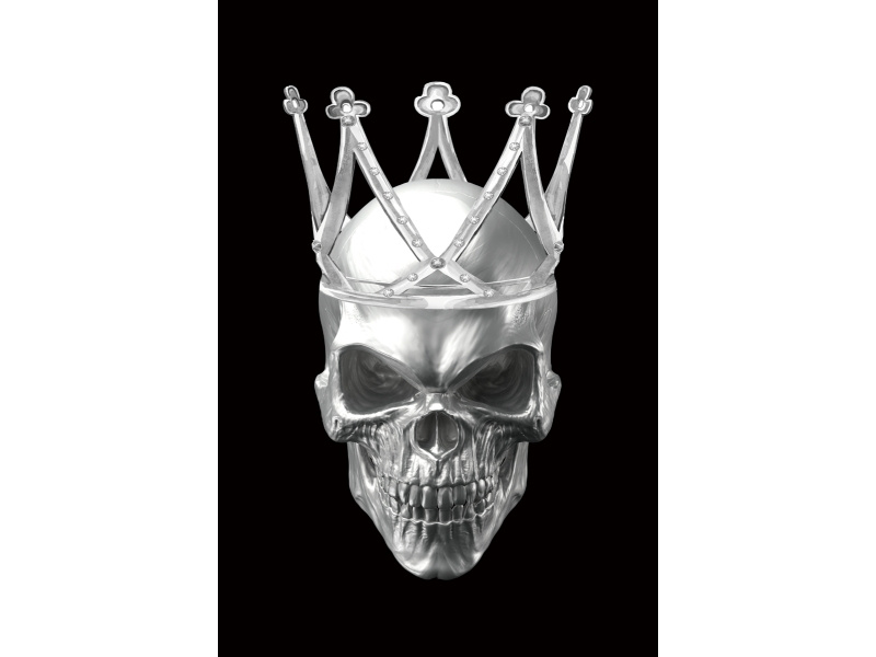 Obraz Skull II SKULLII80