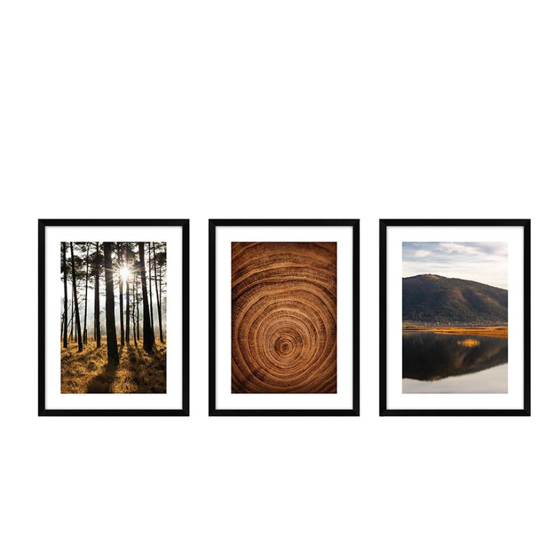 Obraz set 002 kno3040.055+056+057 l.13.15.051 černá