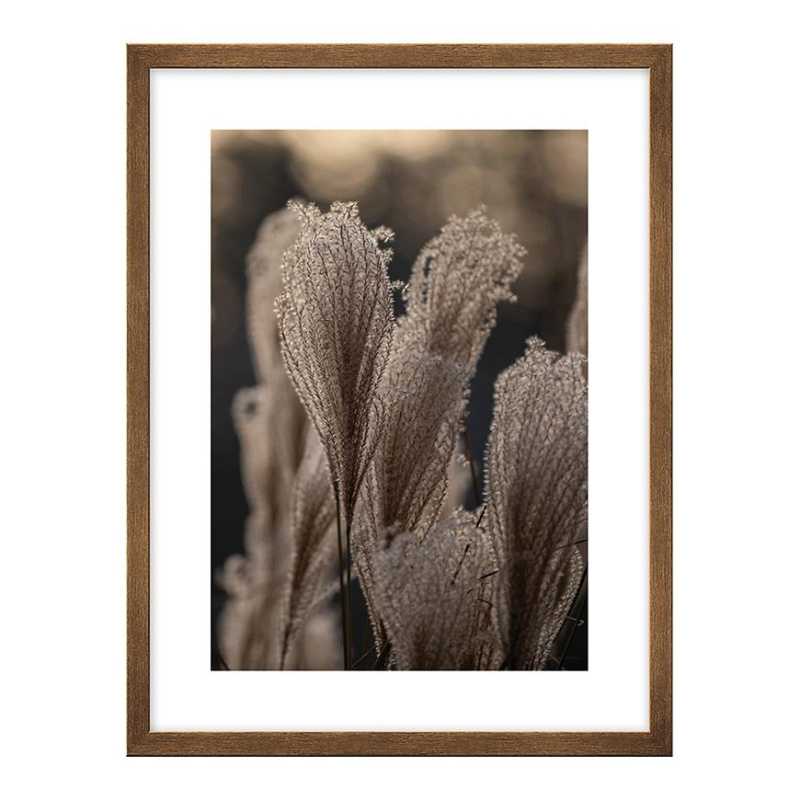 Obraz 30x40 kno3040.075 l13.15.052 měď