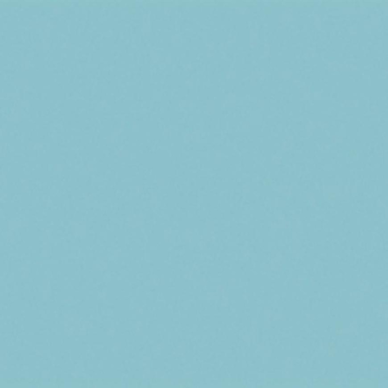 Skleněný panel 60/60 Mono Lagon