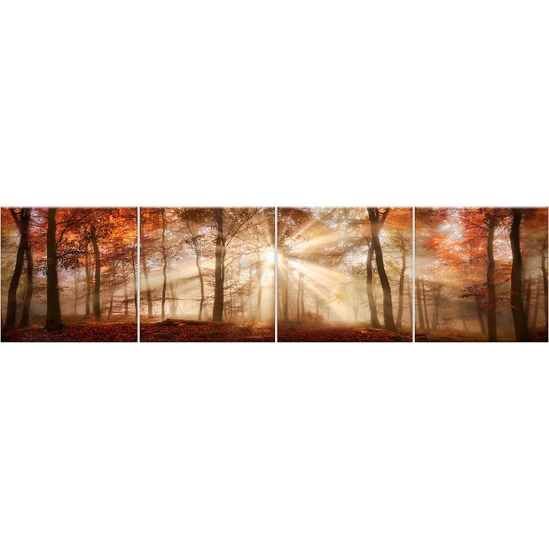 Skleněný panel 60/240 Forest-1 4-Elem