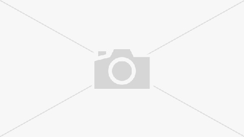 VetExpert VD Urinary Dog 2kg