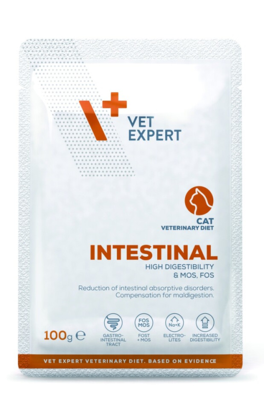 VetExpert VD 4T Intestinal Cat kapsa  100g