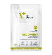 VetExpert VD 4T Recovery Cat kapsa  100g