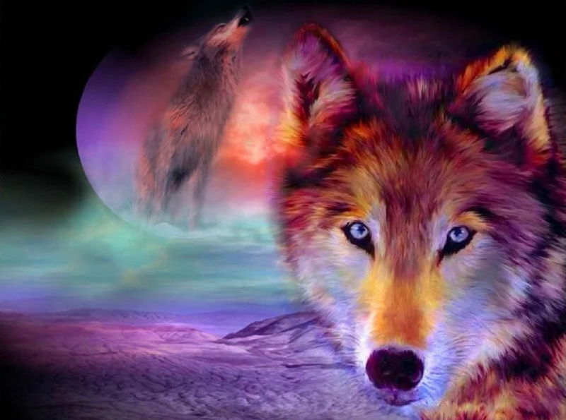 Diamantové malování vlčí pohled 30x40 cm