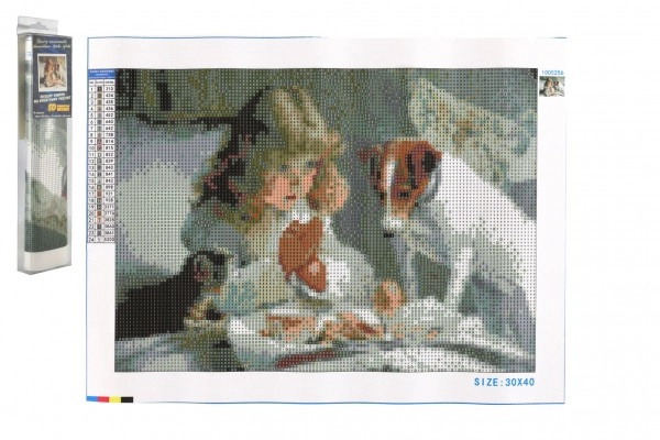 SMT Creatoys Diamantový obrázek Holčička 40 x 30 cm s doplňky v blistru 7 x 34 x 3 cm
