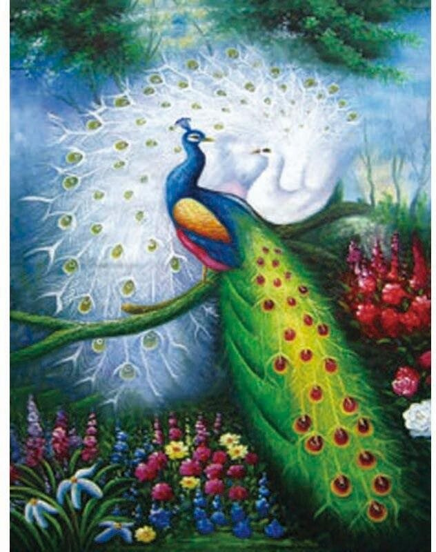 Diamantové malování – pávi 30 × 40 cm