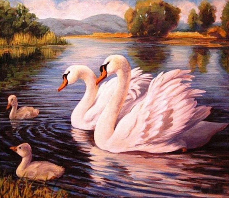 Norimpex Malování podle čísel Labutě 40 × 50 cm