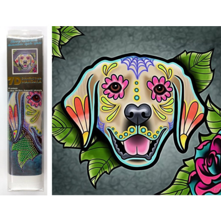 Norimpex Diamantové malování 7D Labrador 30x30cm