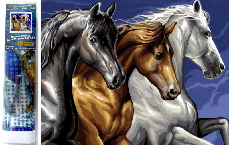Norimpex Diamantové malování Divoké trio 30 x 40 cm
